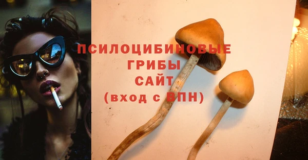 apvp Нефтекумск