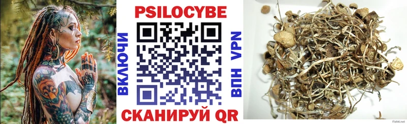 блэк спрут ссылки  Сальск  Галлюциногенные грибы прущие грибы 